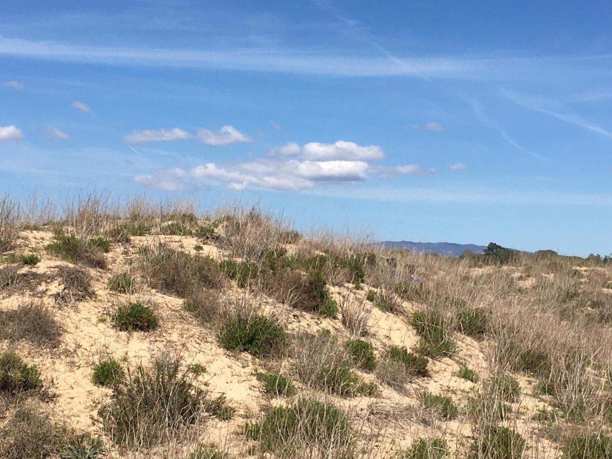 Vila Marachique Alvor Kültér fotó
